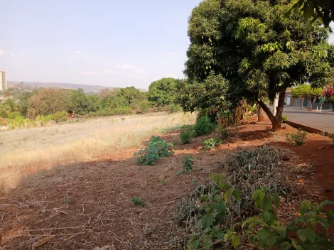 Terreno / Padrão em Bonfim Paulista 