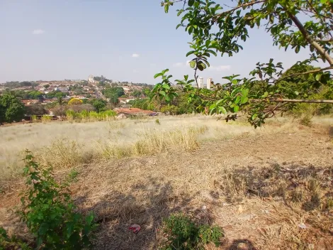 Comprar Terreno / Padrão em Bonfim Paulista R$ 11.500.000,00 - Foto 23