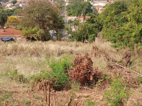 Comprar Terreno / Padrão em Bonfim Paulista R$ 11.500.000,00 - Foto 25