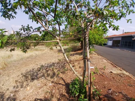 Comprar Terreno / Padrão em Bonfim Paulista R$ 11.500.000,00 - Foto 26