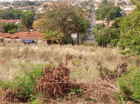 Comprar Terreno / Padrão em Bonfim Paulista R$ 11.500.000,00 - Foto 32