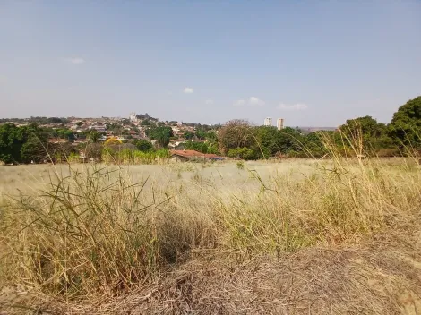 Comprar Terreno / Padrão em Bonfim Paulista R$ 11.500.000,00 - Foto 38