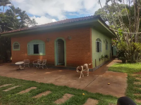 Comprar Rural / Fazenda em São Simão R$ 1.500.000,00 - Foto 61