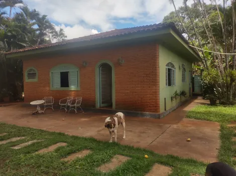 Comprar Rural / Fazenda em São Simão R$ 1.500.000,00 - Foto 66