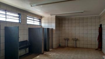 Comprar Comercial padrão / Galpão - Armazém em Ribeirão Preto R$ 1.280.000,00 - Foto 12