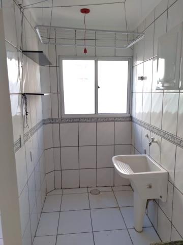 Alugar Apartamentos / Padrão em Ribeirão Preto R$ 1.000,00 - Foto 3