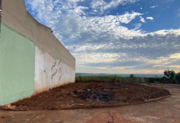 Terreno / Padrão em Barrinha 