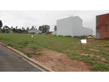 Terreno / Padrão em Pitangueiras , Comprar por R$45.000,00