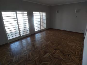 Alugar Comercial padrão / Casa comercial em Ribeirão Preto R$ 4.500,00 - Foto 5