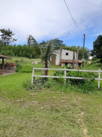 Comprar Rural / Fazenda em Tambaú R$ 1.380.000,00 - Foto 18