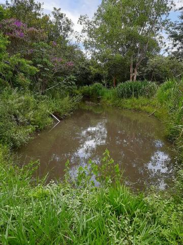 Comprar Rural / Fazenda em Tambaú R$ 1.380.000,00 - Foto 31