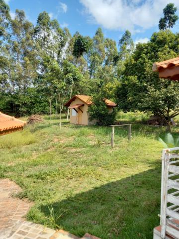 Comprar Rural / Fazenda em Tambaú R$ 1.380.000,00 - Foto 13