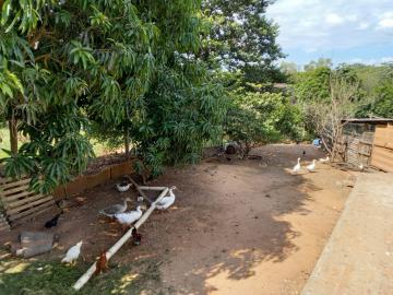 Comprar Rural / Fazenda em Tambaú R$ 1.380.000,00 - Foto 26