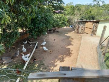 Comprar Rural / Fazenda em Tambaú R$ 1.380.000,00 - Foto 25