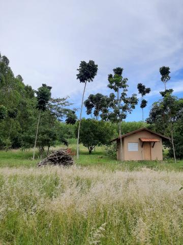 Comprar Rural / Fazenda em Tambaú R$ 1.380.000,00 - Foto 19