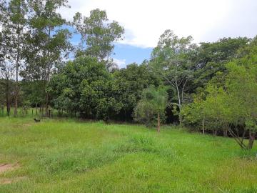 Rural / Fazenda em Tambaú 