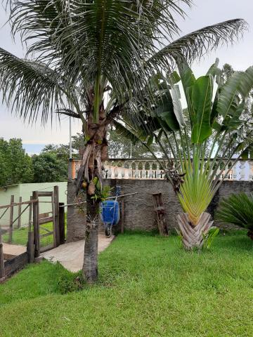 Comprar Rural / Fazenda em Tambaú R$ 1.380.000,00 - Foto 12