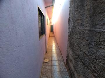 Alugar Casa / Padrão em Ribeirão Preto R$ 800,00 - Foto 12