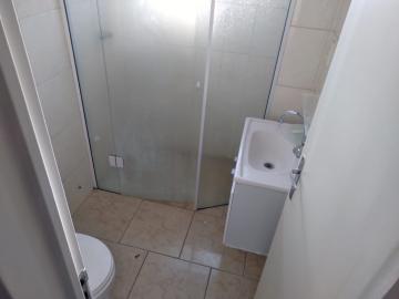 Alugar Apartamento / Padrão em Ribeirão Preto R$ 500,00 - Foto 7