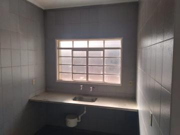 Alugar Comercial condomínio / Sala comercial em Ribeirão Preto R$ 700,00 - Foto 5