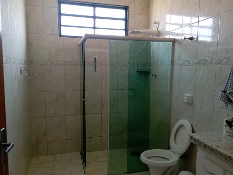 Alugar Casa / Padrão em Ribeirão Preto R$ 500,00 - Foto 8