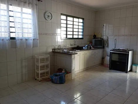 Alugar Casa / Padrão em Ribeirão Preto R$ 500,00 - Foto 13