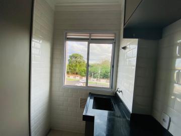 Alugar Apartamento / Padrão em Ribeirão Preto R$ 900,00 - Foto 5