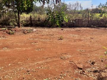 Comprar Terreno / Padrão em Ribeirão Preto R$ 955.000,00 - Foto 6