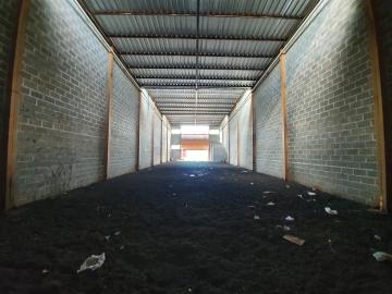 Alugar Comercial padrão / Galpão - Armazém em Ribeirão Preto R$ 3.900,00 - Foto 2