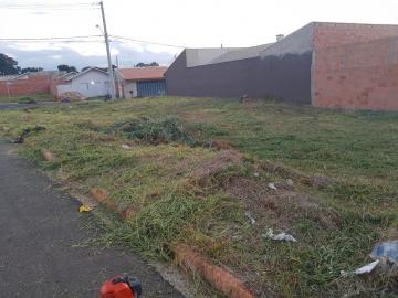 Alugar Terreno / Padrão em Ribeirão Preto R$ 3.000,00 - Foto 5