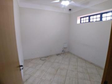 Alugar Comercial padrão / Galpão - Armazém em Ribeirão Preto R$ 5.000,00 - Foto 13