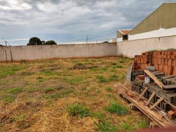 Comprar Terreno / Padrão em Ribeirão Preto R$ 200.000,00 - Foto 2