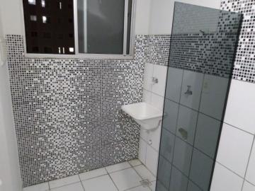 Alugar Apartamento / Padrão em Ribeirão Preto R$ 600,00 - Foto 12