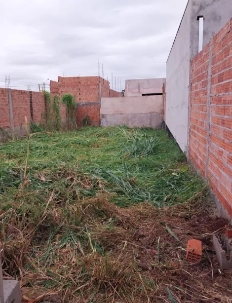 Comprar Terreno / Padrão em Ribeirão Preto R$ 100.000,00 - Foto 2