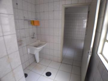 Alugar Apartamento / Padrão em Ribeirão Preto R$ 1.100,00 - Foto 5