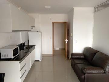 Apartamento / Kitnet em Ribeirão Preto Alugar por R$2.500,00