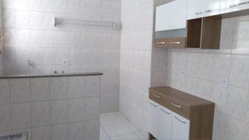 Alugar Apartamento / Padrão em Ribeirão Preto R$ 780,00 - Foto 5