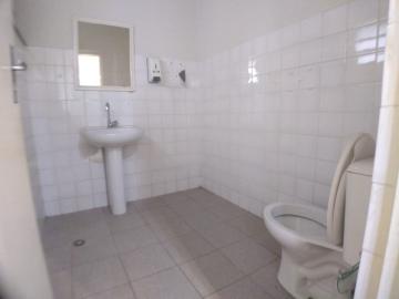 Alugar Comercial padrão / Galpão - Armazém em Ribeirão Preto R$ 9.000,00 - Foto 5