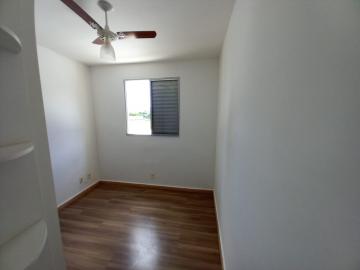 Alugar Apartamento / Padrão em Ribeirão Preto R$ 800,00 - Foto 12