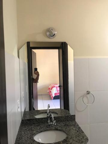 Alugar Apartamento / Padrão em Ribeirão Preto R$ 800,00 - Foto 6