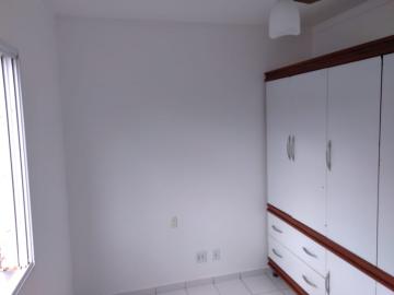 Alugar Apartamento / Padrão em Ribeirão Preto R$ 500,00 - Foto 7
