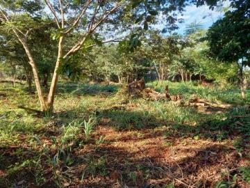 Terreno / Padrão em Ribeirão Preto Alugar por R$6.000,00