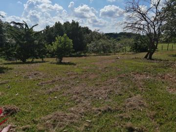 Alugar Rural / Fazenda em Bonfim Paulista R$ 6.000,00 - Foto 16