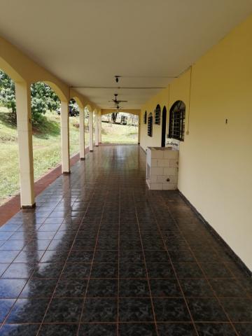 Alugar Rural / Fazenda em Bonfim Paulista R$ 6.000,00 - Foto 13