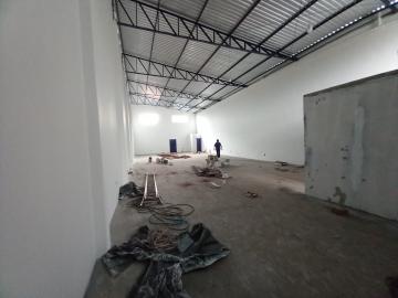 Alugar Comercial padrão / Galpão - Armazém em Ribeirão Preto R$ 4.000,00 - Foto 3