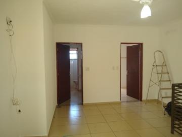 Casa / Padrão em Cravinhos Alugar por R$1.200,00