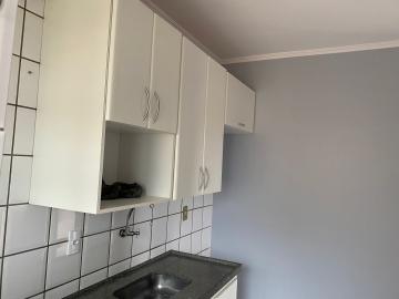 Alugar Apartamento / Padrão em Ribeirão Preto R$ 900,00 - Foto 3