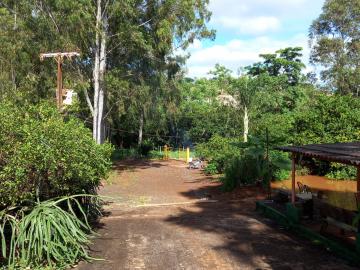 Alugar Rural / Fazenda em Ribeirão Preto R$ 4.500,00 - Foto 12