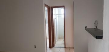 Alugar Apartamento / Padrão em Ribeirão Preto R$ 650,00 - Foto 4