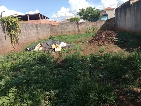 Comprar Terreno / Padrão em Santo Antônio da Alegria R$ 80.000,00 - Foto 2